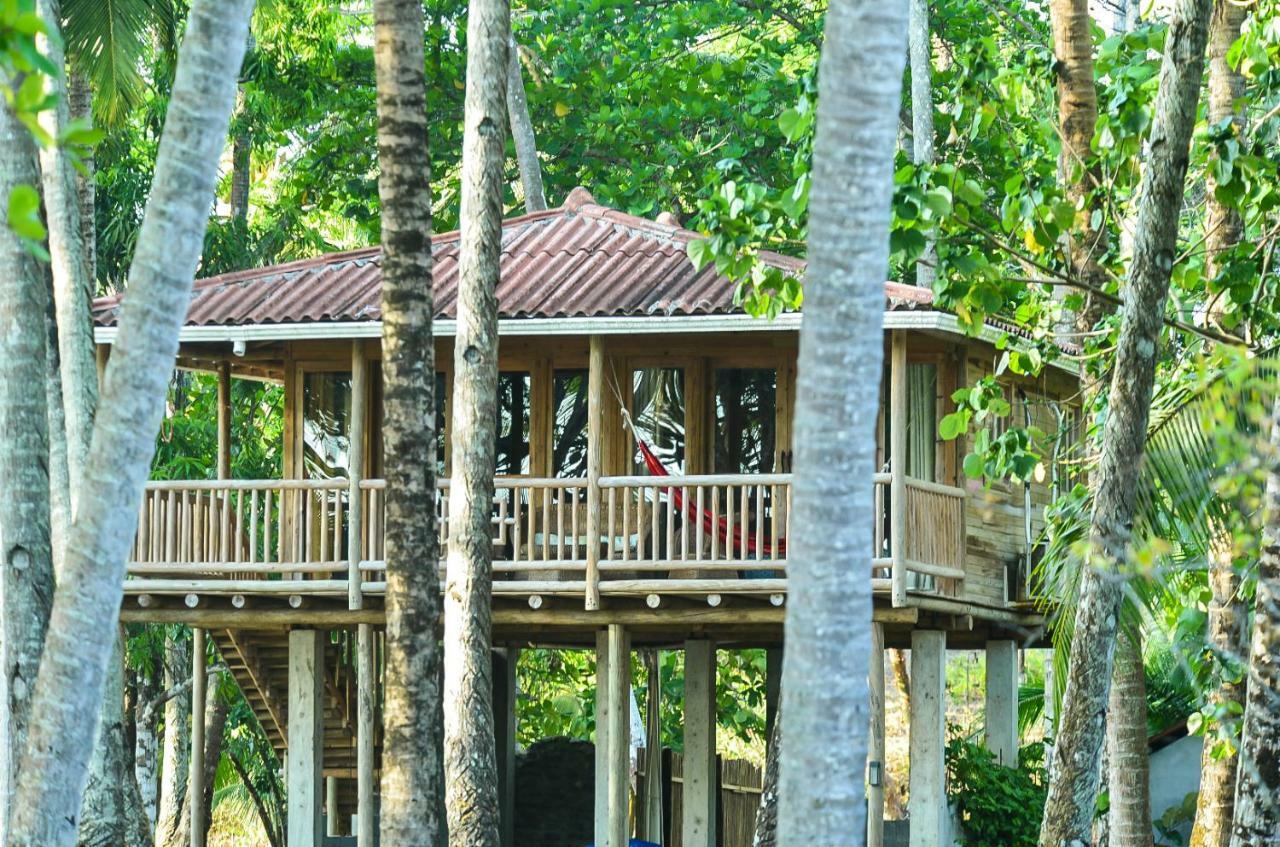 Hotel Oasis & Surf Camp Santa Catalina Exterior photo